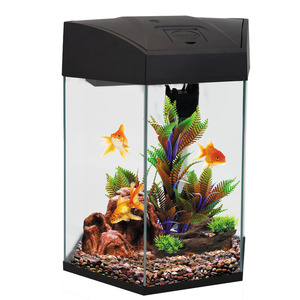 Fish: AA Hex Aquarium 20L