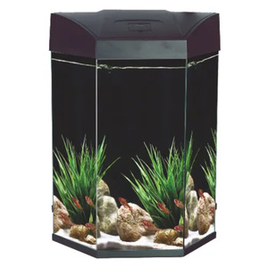 Fish: AA Hex Aquarium 70L - Black