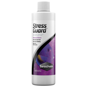 Medication Treatements: Seachem Stressguard