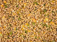 Birds: Topflite Lucky Duck mix 2kgs