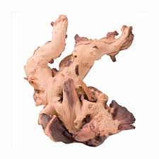 Fish: Mopani Wood