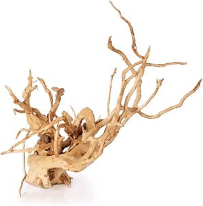 Fish: Spider Wood