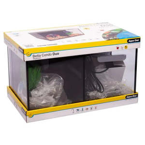 Betta condo duo