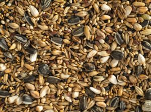 Birds: Topflite Aviary Seed Mix 1KG
