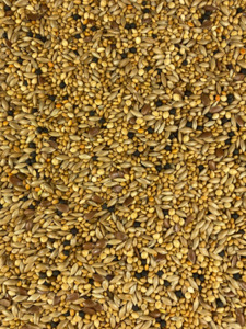 Birds: Topflite Finch Seed Mix 1kg