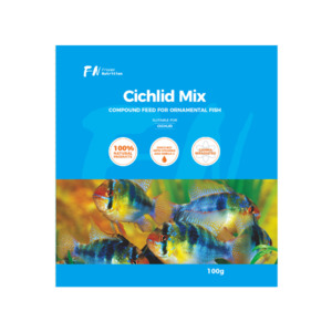 Cichlid mix