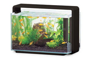 Hailea Aquarium 60L – Black (Copy)