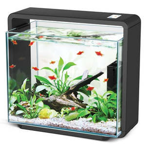 Fish: Hailea Aquarium 40L – Black