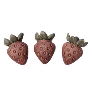 Pet One Treat Strawberries 3pcs