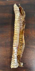 Dogs: Air-Dried Beef Trachea