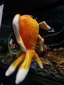 Goldfish Plushy