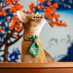 PIDAN PET NECKTIE COLLAR