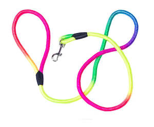 Pet Accessories: Rainbow Nylon Dog Lead 1.5m