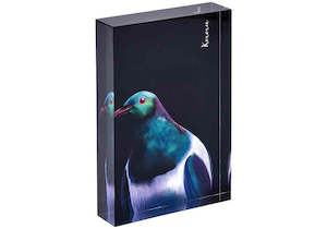 Majestic Birds Kereru Mini Gallery