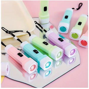 Hardware: Pastel Torch Light Inc Battery 9.5cm