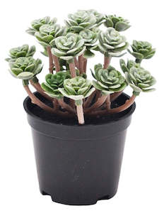 Mini Artificial Plant