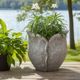 Petal Planter 29cm