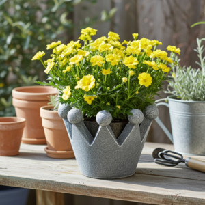 Garden: Crown Planter 28x25cm