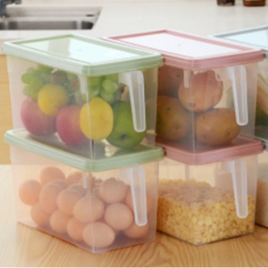 Clear Storage Container W Handle & Lid