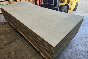 Ply Treated H3 (Single Sheet) - Payless Paints
