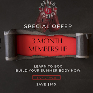 Boxing Training Gear: 3 month membership