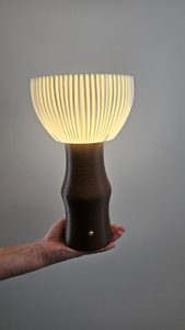 Products: Silva Cordless Touch Lamp – Sculptural Designer Lighting