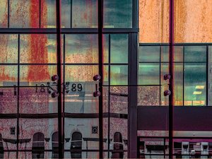 Reflections' - Pea Sea Art