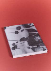 Home: Anyonegirl (Waist Issue 4)