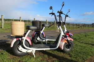 Products: Peonies Cruisers