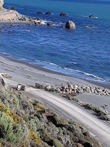 Parenting Road Code Online Module Training