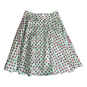 VOODOO VIXEN LADYBUG MINT SKIRT | XL