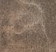 Dark Brown Water Based Stain 1l