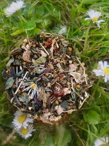 Equinox Equaliser Herbal Tea - Persephone Potions