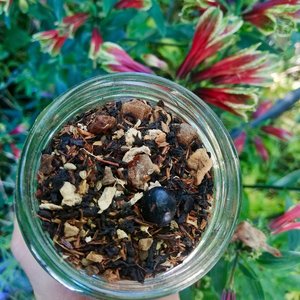 FestivaTea - Persephone Potions