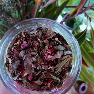 Manawa Herbal Tea - Persephone Potions