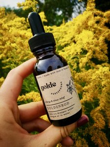 Goldenrod & Nettle tincture - Persephone Potions