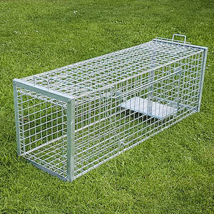 Feature Traps: Dog & Large Animal Trap