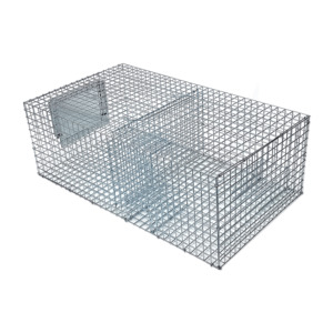 Birdzout Traps: Sparrow Trap - Multi Capture