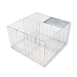 Birdzout Traps: Larsen Type Bird Trap