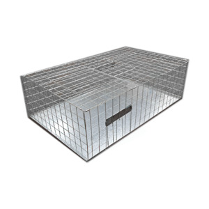 Pigeon Cage Trap