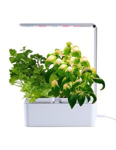 Products: Mr Fothergills HydroGarden Grow Kit All-In-One