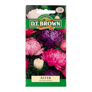 Aster Duchess Mixed