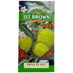 Swan Plant