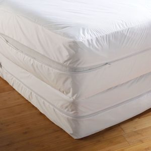 Pestrol Bed Bug Mattress Protector 24cm Depth