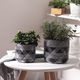 Cement Flower Pots Set of 2