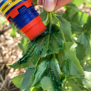 Products: Cut’n’Paste Glyphosate Original Weedkiller Gel 480ml