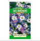 Swan River Daisy