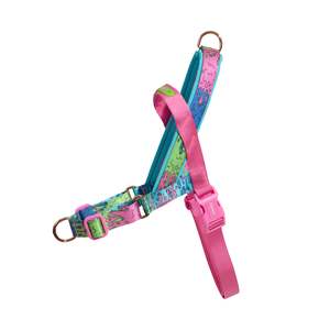 Dog Collars Harnesses Leads Tethering: Zee.Dog Softer Walk Harness Melted