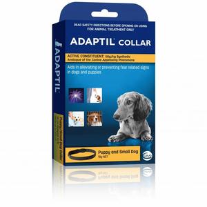 Health Anxiety: Adaptil Collar