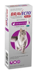 Health Flea Worm: Bravecto Plus for Cats